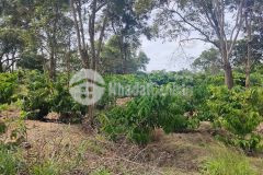 Đất tt eakar, 7 sào, mt dài 90m,gần ql 29,thác mơ đẹp lung linh