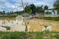 Nông trại 4ha view đẹp tại khu du lịch sinh thái eakao tp bmt.