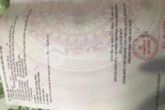 Cần bán gấp lô đất mặt tiền nhựa 400m2 tp tdm