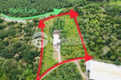 Nhà vườn có sẵn nhà sau giáp suối lớn ngay khu dcư