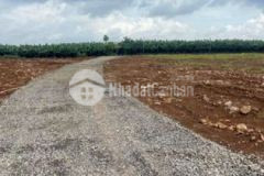 Đất sào shr1000m2799tr xã sông trầu tbom