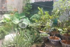 Đường xe tải thẳng 1 trục dt 6 515m chỉ 5 9 tỷ