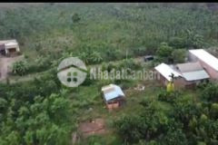 Nhà vuờn ao 72x110m đuờng hưng phuớc