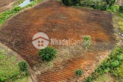 Cần hàng xóm nên có bán trả góp