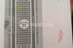 Nền cát tường western pearl 2 tp vị thanh