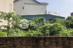 Đất cự khối 232 m2 full thổ cư giá chỉ 25 trm2