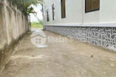 Nhà cấp 4 hẻm kế mậu thân 2 phường 3