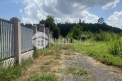 1000m² đất long tân đất đỏ br vt