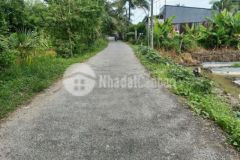 Nền sổ hồng 1076 60 thổ lộ 4m kế chợ số 8 100m