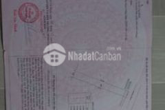 Đất ở hiện hữu lộ 4 tân lập khu việt kiều cần bán