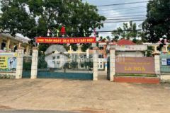 Cần bán gấp lô đất vườn bưởi