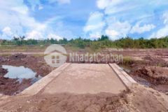 Bán 150m2 đất thổ cư mt ql1a ttcái tắc 1 6 tỷ