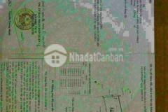 Hàng ngộp ngân hàng bán gấp đất đường tx52