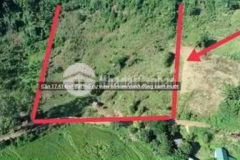 1 7ha 1000m ont cao phong giá rẻ dg rộng view hồ