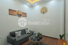 Bán nhà xuân thủy ô tô đỗ cổng 48m2x4t 3 9 tỷ