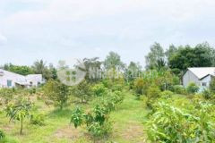 Bán đất vườn xã trường long phong điền cần thơ