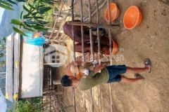 Bán đất đường văn tân gần chợ non nước ngang 8m