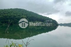 Bán 1 4ha ốc đảo bám hồ tại lương sơn hòa bình