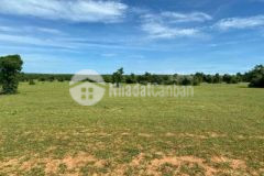 Kẹt tiền ra nhanh lô tt chợ lầu giá rẻ chỉ 75km2