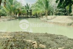 Cần bán gấp 10 hecta đất ôm suối hồ