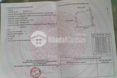 Đất lúa quy hoạch thổ 100