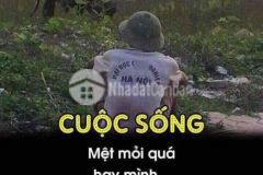 Bán lô đất nông nghiệp giá rẻ