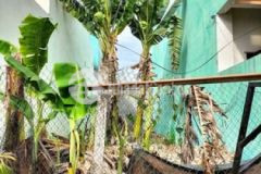 Chính chủ cần bán gấp 100m thổ cư giá 1 tỷ 9