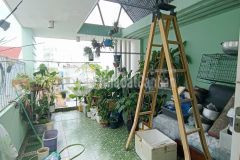 Nhà hẻm 3.5m, lý thánh tông, dân trí, 4 x 14m, 6.3 tỷ, tân phú