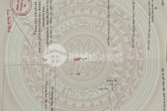 Cần tiền bán đất vườn giá rẻ đường tân định 61 dt 12,5x120 1350m2. đất bằng phẳng đường xe hơi vào