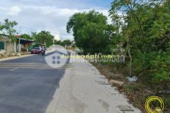 Bán đất 2 lô liền kề mt đường 49c, triệu vân, triệu phong