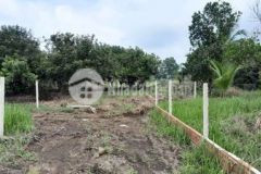 Bán nửa sào đất vườn sổ hồng riêng