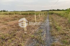 890tr1000m2 dt 20x50m đường ô tô đc xây nhà