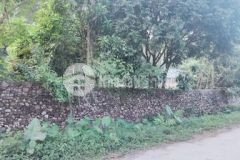 1540m2 400 ont bám đường lx liên sơn lương sơn hb