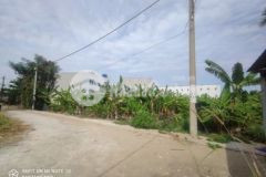 Hàng thơm bán 1570m2 đất tc 100 hxh 8m quận 12