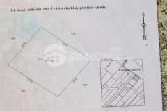 Bán gấp 1000m² đất giá 1 5tỷ cách bv nhi đồng 1km