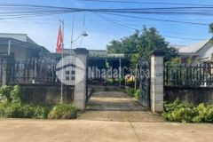 Bán đất tặng nhà cấp 4 bàu cạn long thành