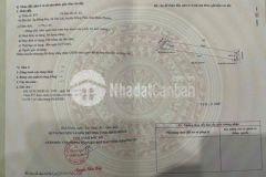 Đất chính chủ cần bán gấp vườn trái cây