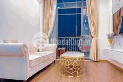 Bán cắt lỗ penhouse chung cư ruby thanh hóa