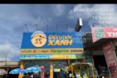 Nhờ các anh chị mô giới chạy bài giúp e