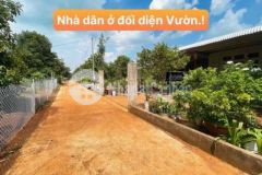 Vườn sầu riêng măng cụt đất full hồng xuân tây