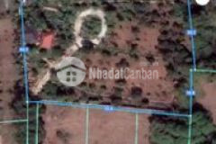 Biệt thự nhà vườn long phước br 11ty3565m2 300tc