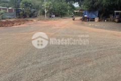 Ông chú kẹt tiền bán miếng đất 1100m2 450 triệu