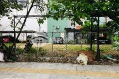 Đất vàng tttp mt trần quý cáp