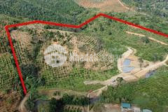 Suối baoquanh viewcực đẹp 300mmặt dg cách ql 1 5km