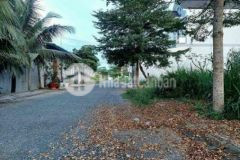 Giảm giá rẻ nền thổ đường nhựa phường 8