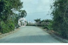 Đất phú vang cách tl 10 chỉ 100m giá 3xxtr