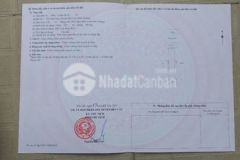 Ngây chợ mỹ phước 3 dt 150m2 dân kín buôn bán kd