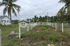 Đất sơn đông bến tre lộ oto