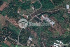 Bán 3s6 vườn trái cây hàng gòn gần ngô ánh