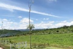 Bán gấp lô đất 975 triệu 125m2 sổ đỏ giá giảm sâu